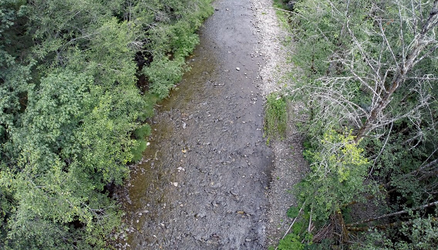 A creek full of water surrounded by trees.